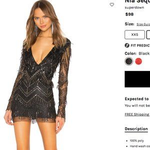 Nia Sequin Fringe Dress